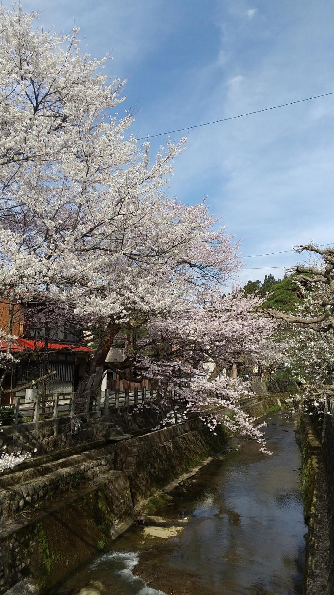 Daihachi Hotell Takayama  Eksteriør bilde